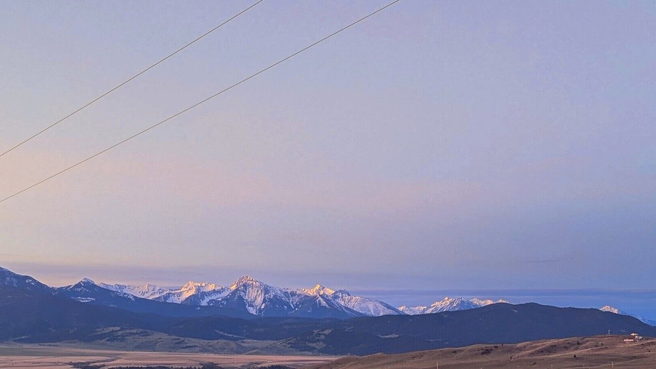 Photo of Others in Livingston