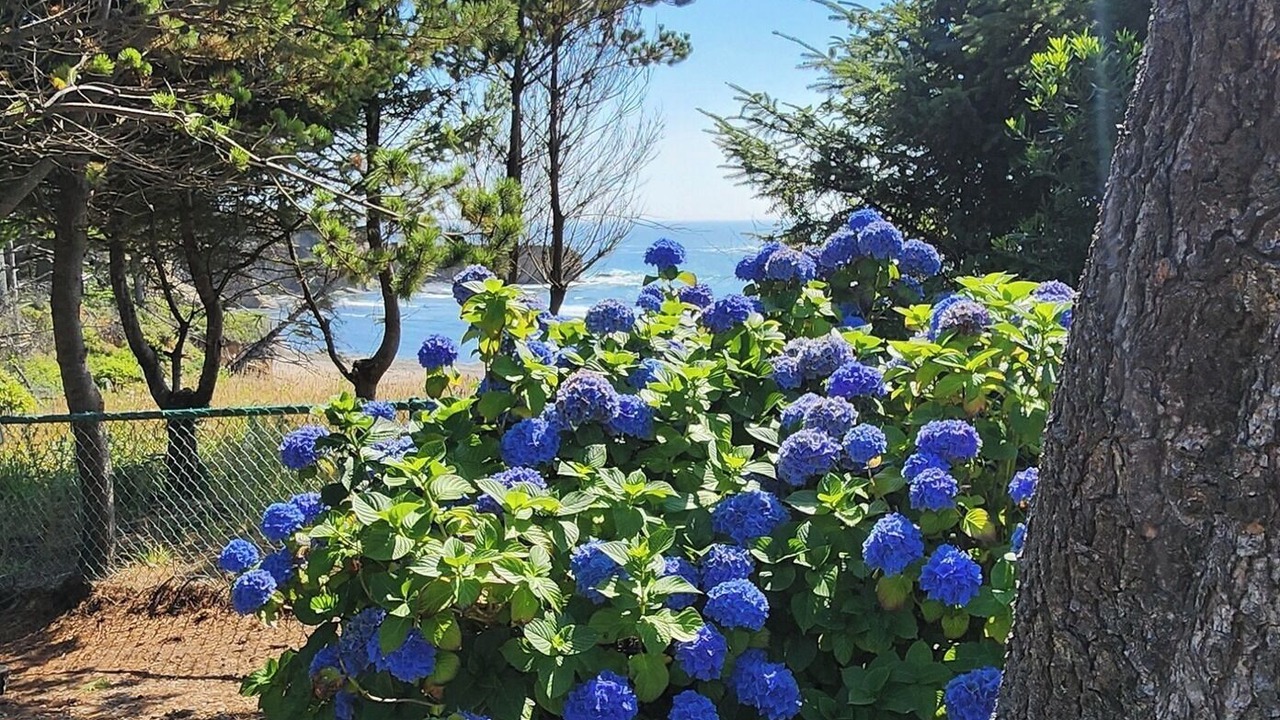 Photo of Outdoor in Otter Rock