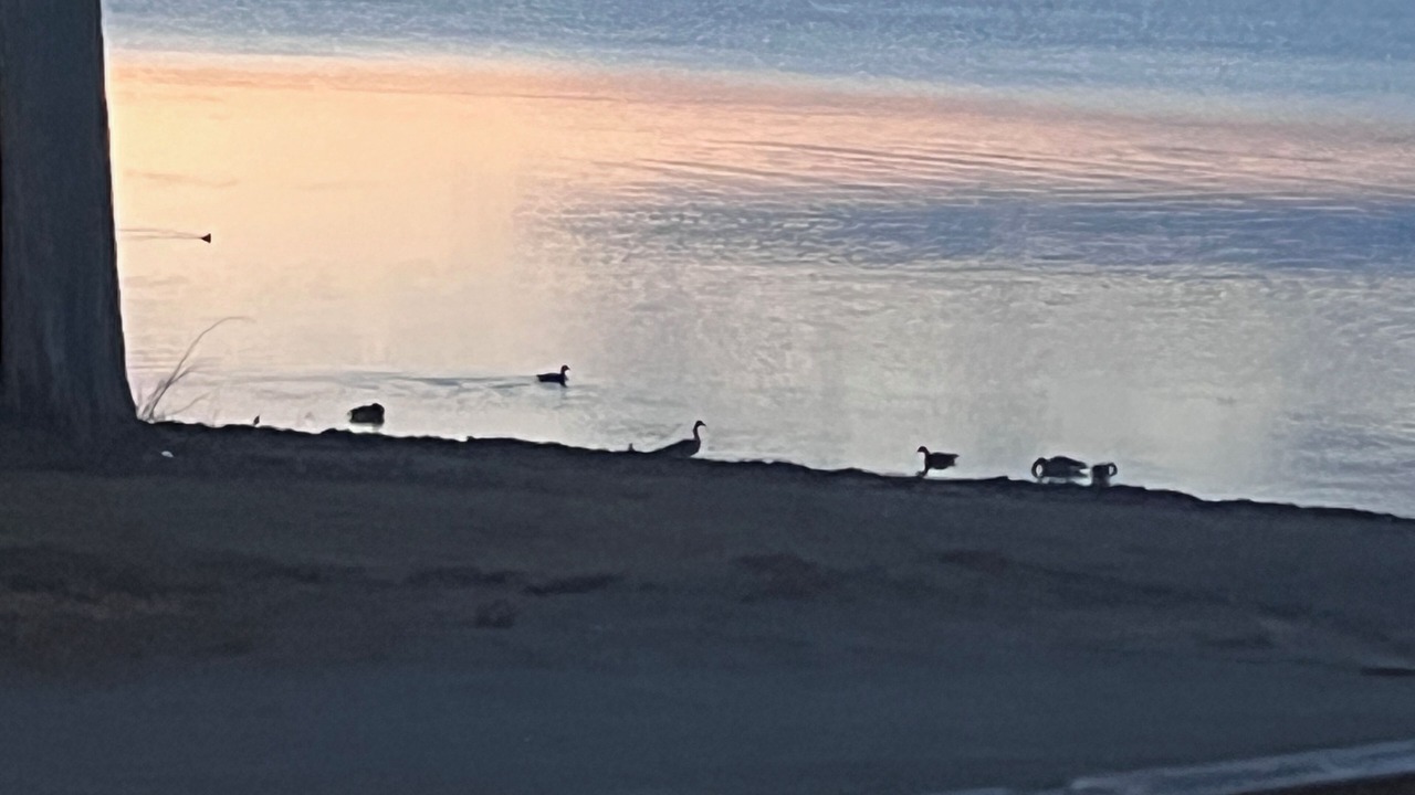 Photo of Others in Crown Point