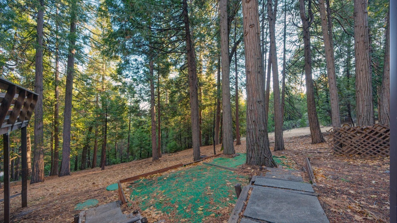 Photo of Outdoor in Pollock Pines