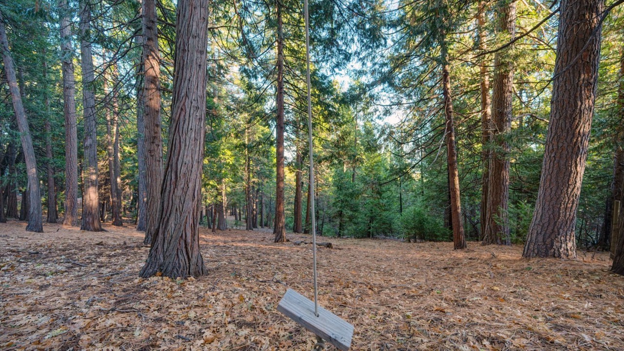 Photo of Others in Pollock Pines