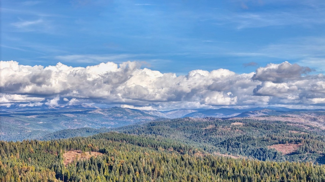 Photo of Others in Pollock Pines