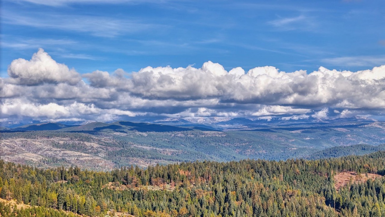 Photo of Others in Pollock Pines
