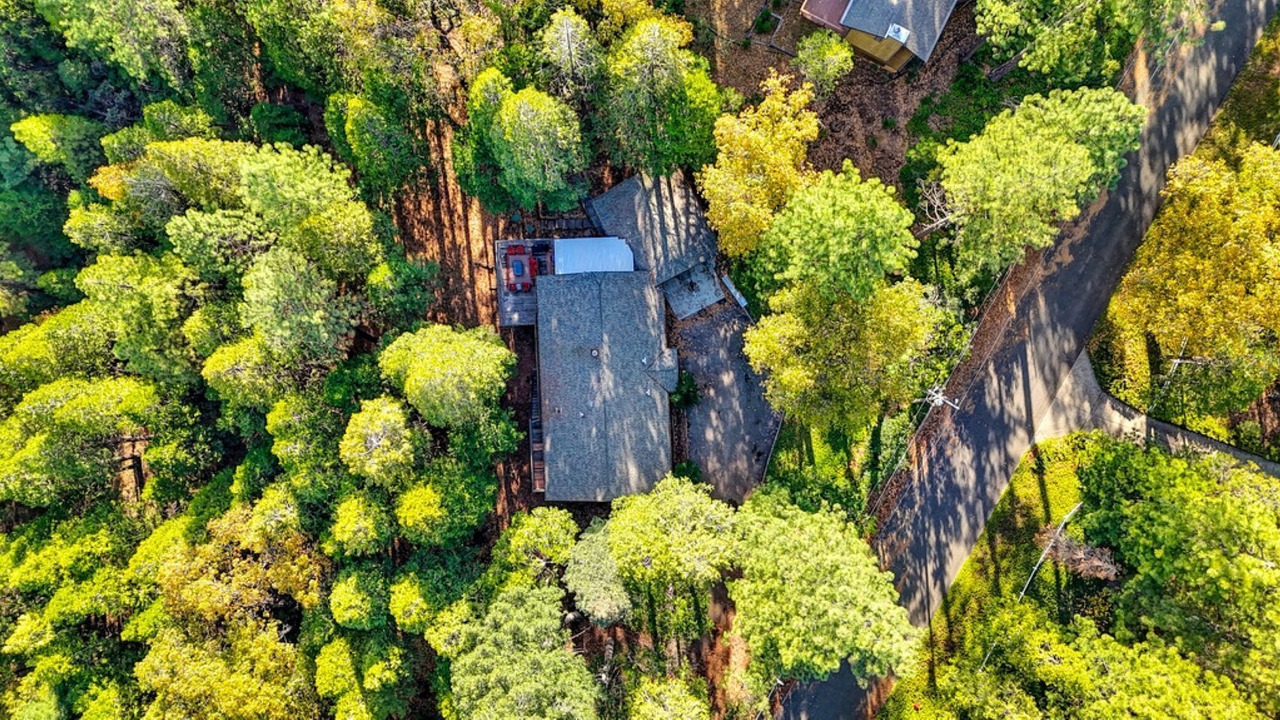 Photo of Outdoor in Pollock Pines