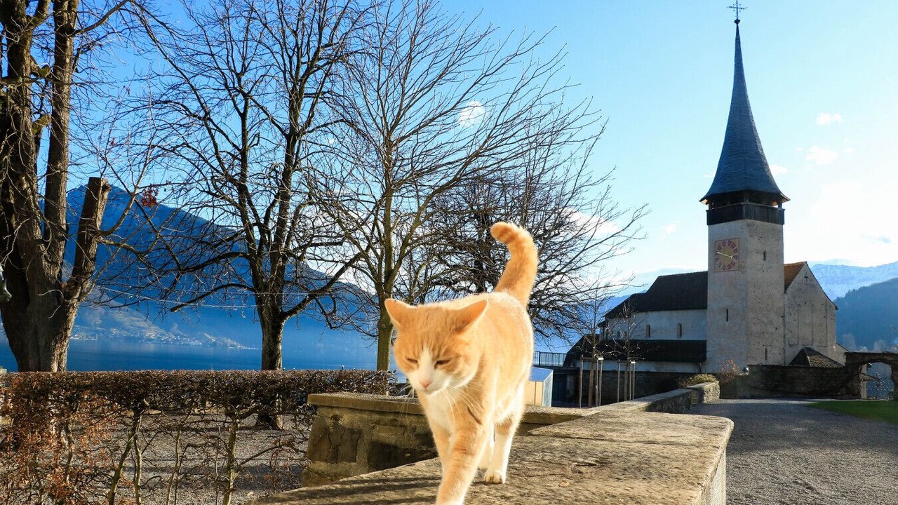 Photo of Others in Spiez
