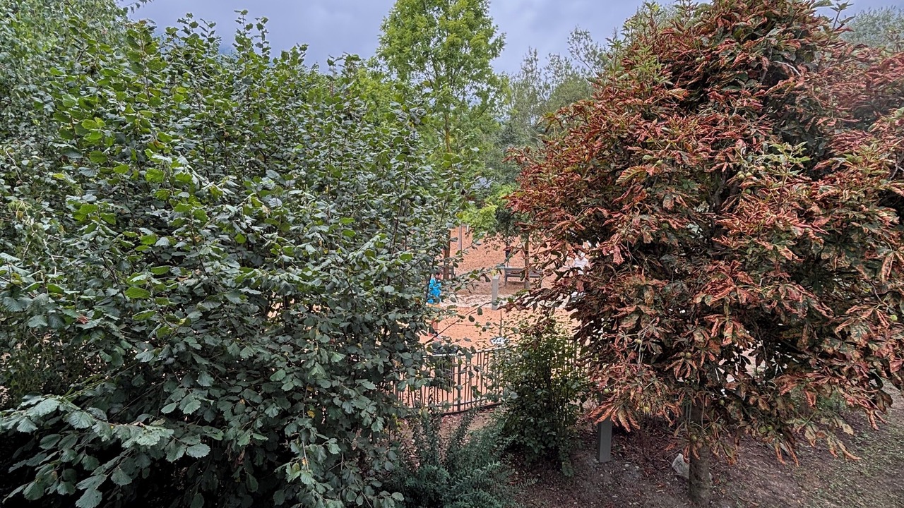 Photo of Outdoor in Vielle-Aure