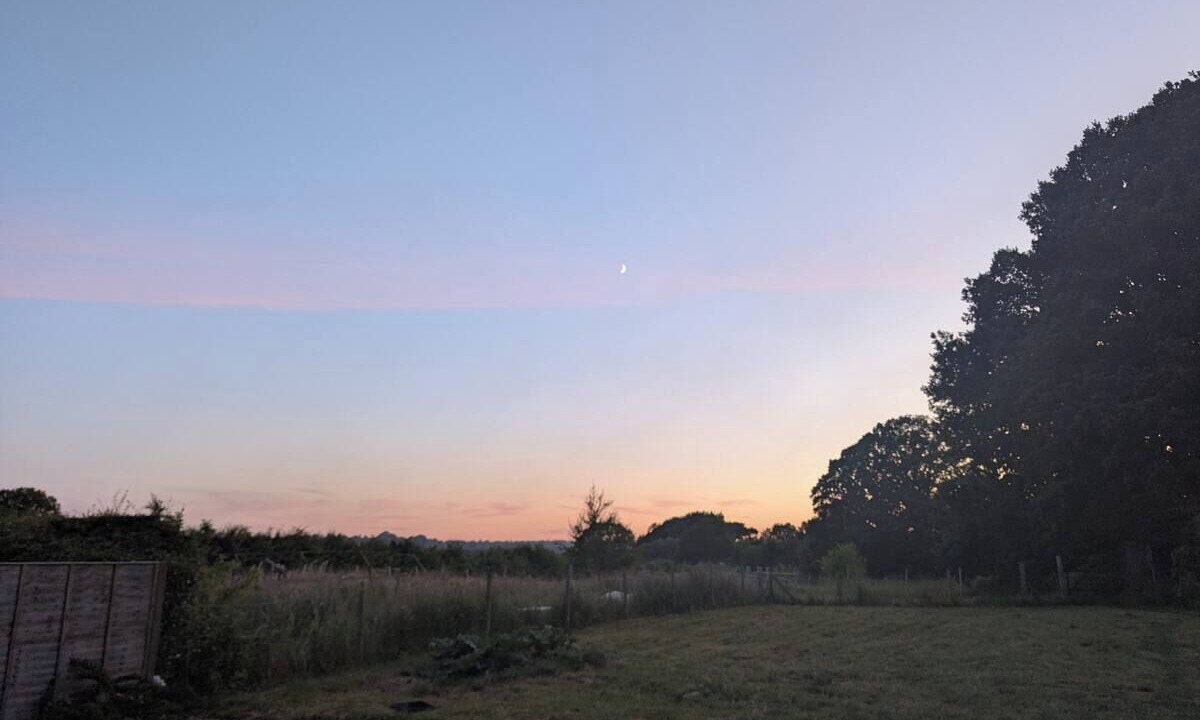 Photo of Others in Cranbrook