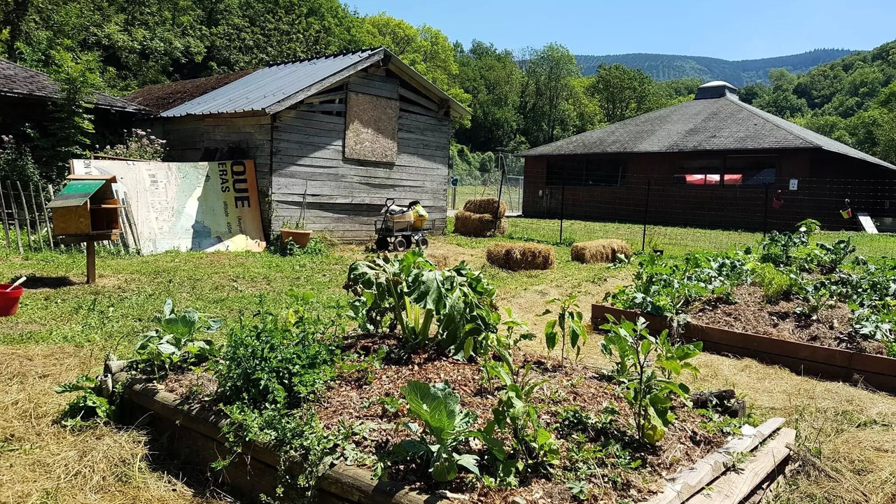 Photo of Outdoor in Brusque
