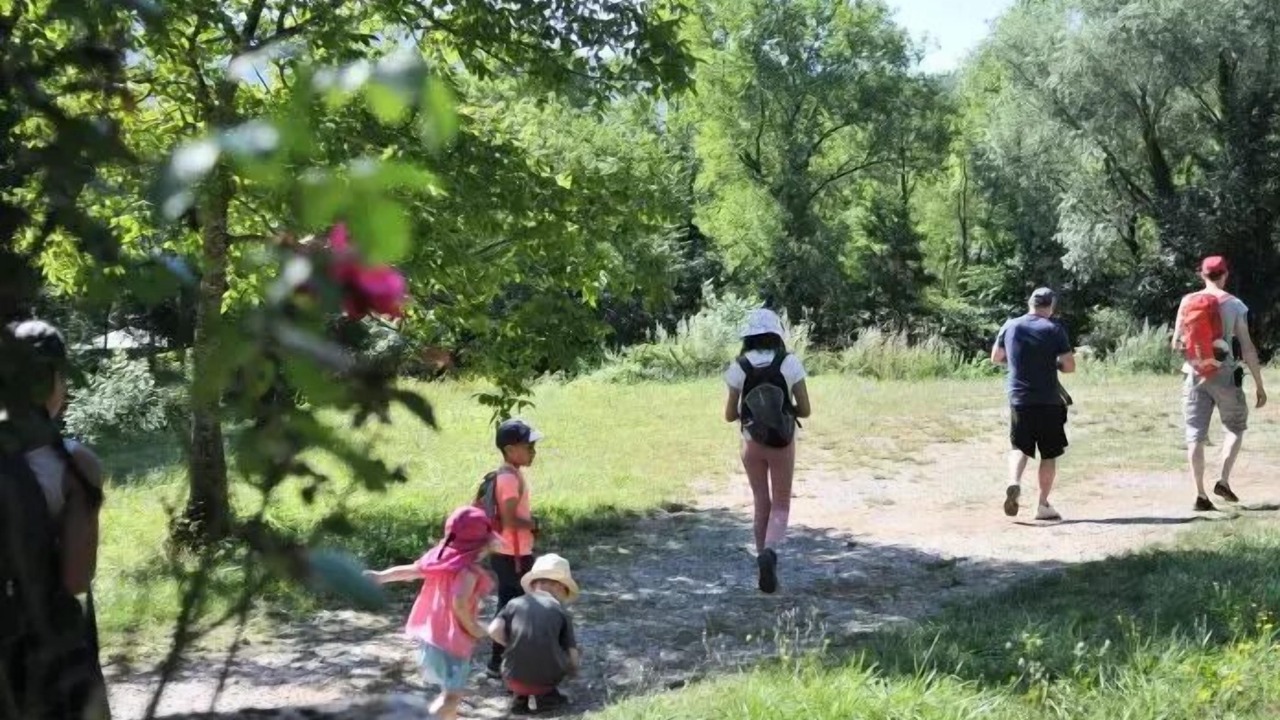 Photo of Others in Brusque