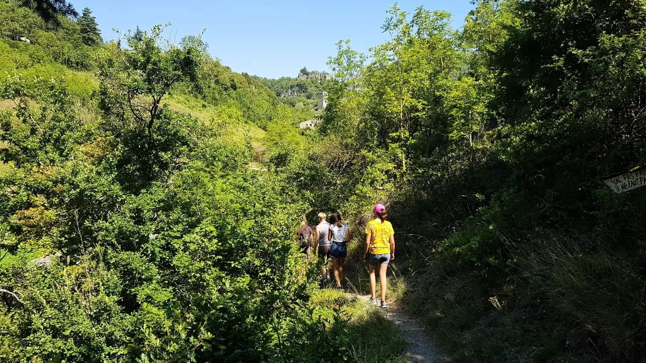 Photo of Others in Brusque