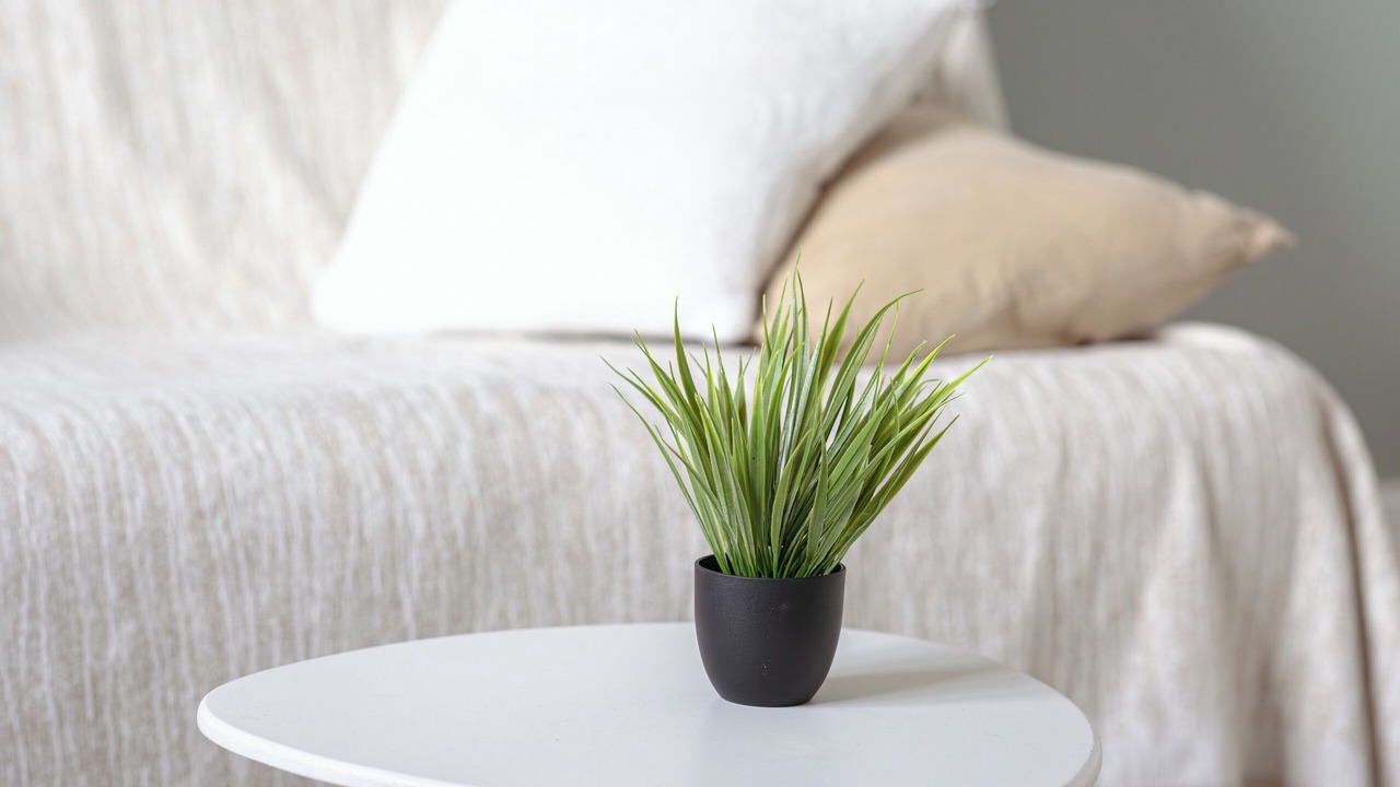 Photo of Others in Rouen City Centre