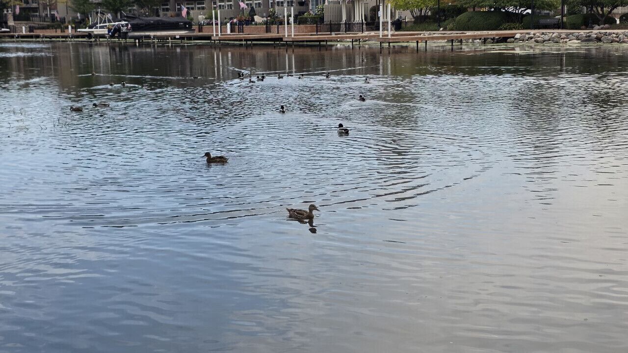 Photo of Others in McHenry