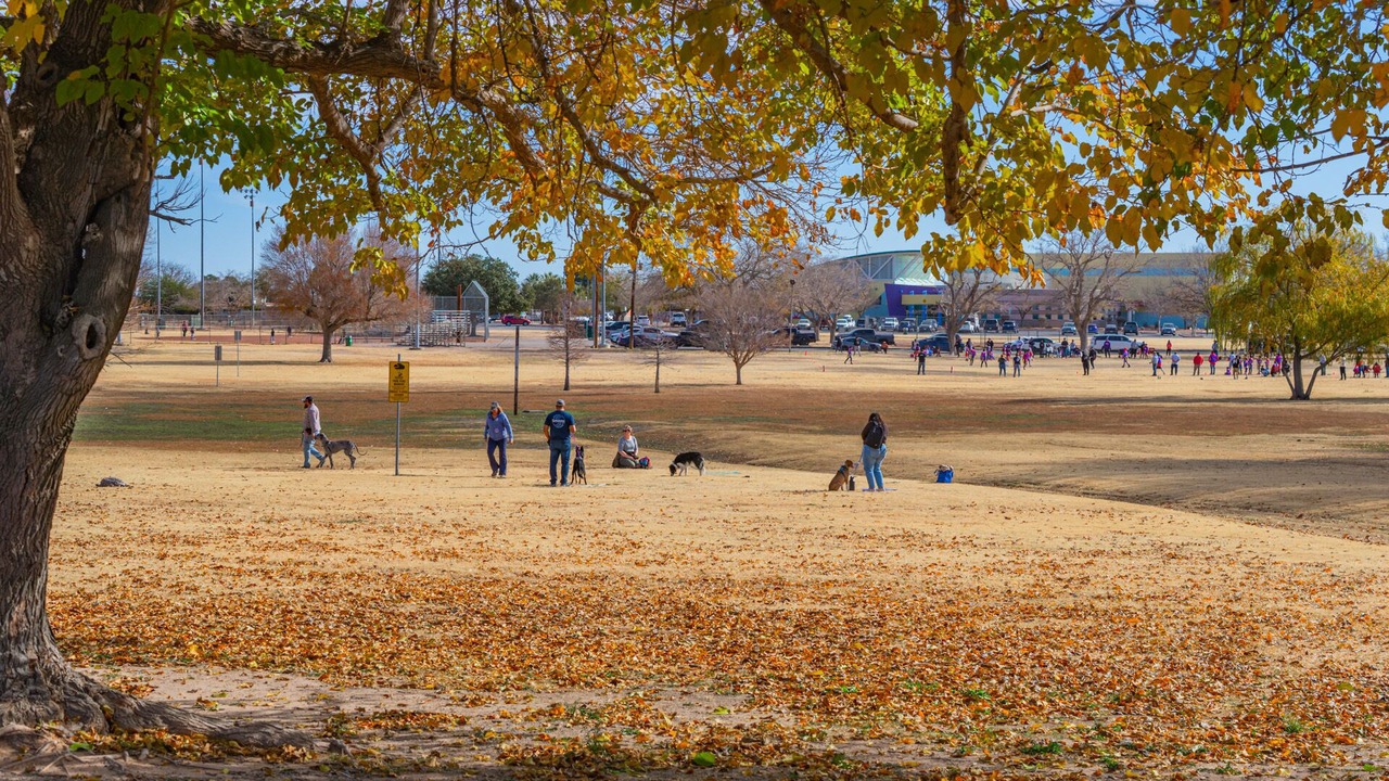 Photo of Others in Biggs Field
