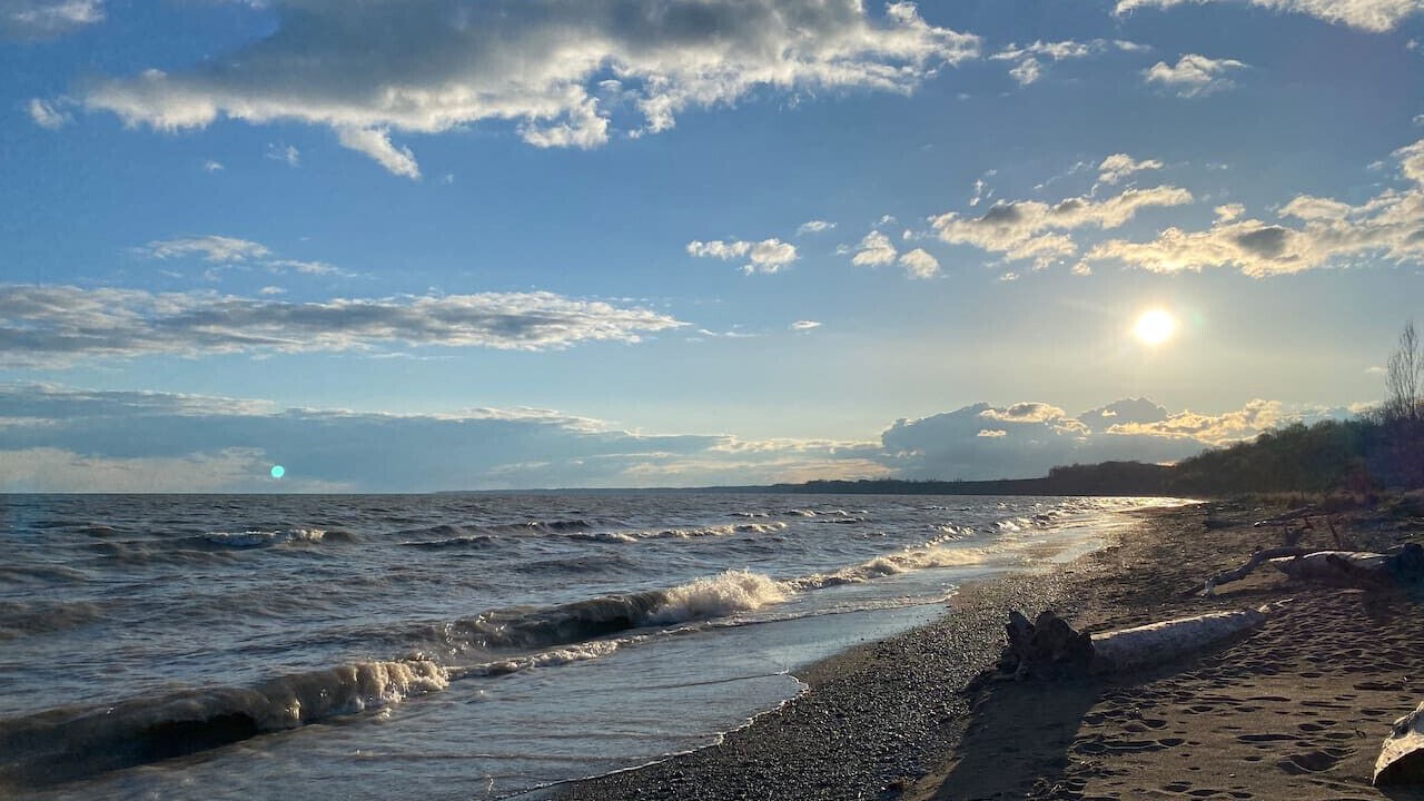 Photo of Others in Port Stanley