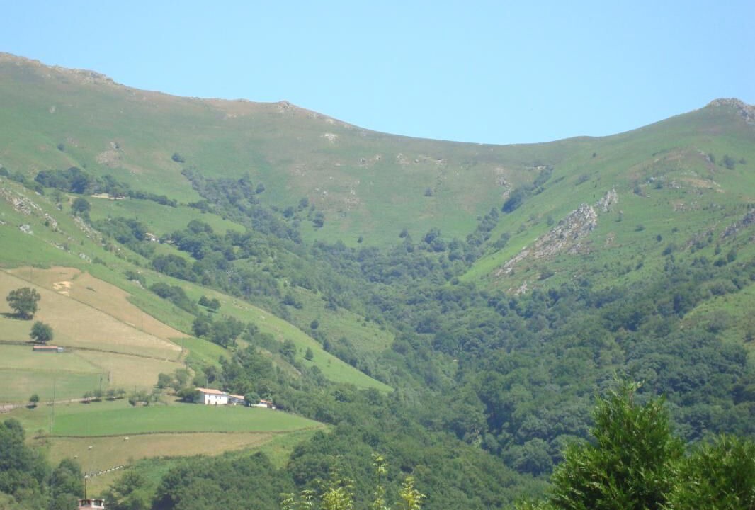 Photo of Others in Bidarray