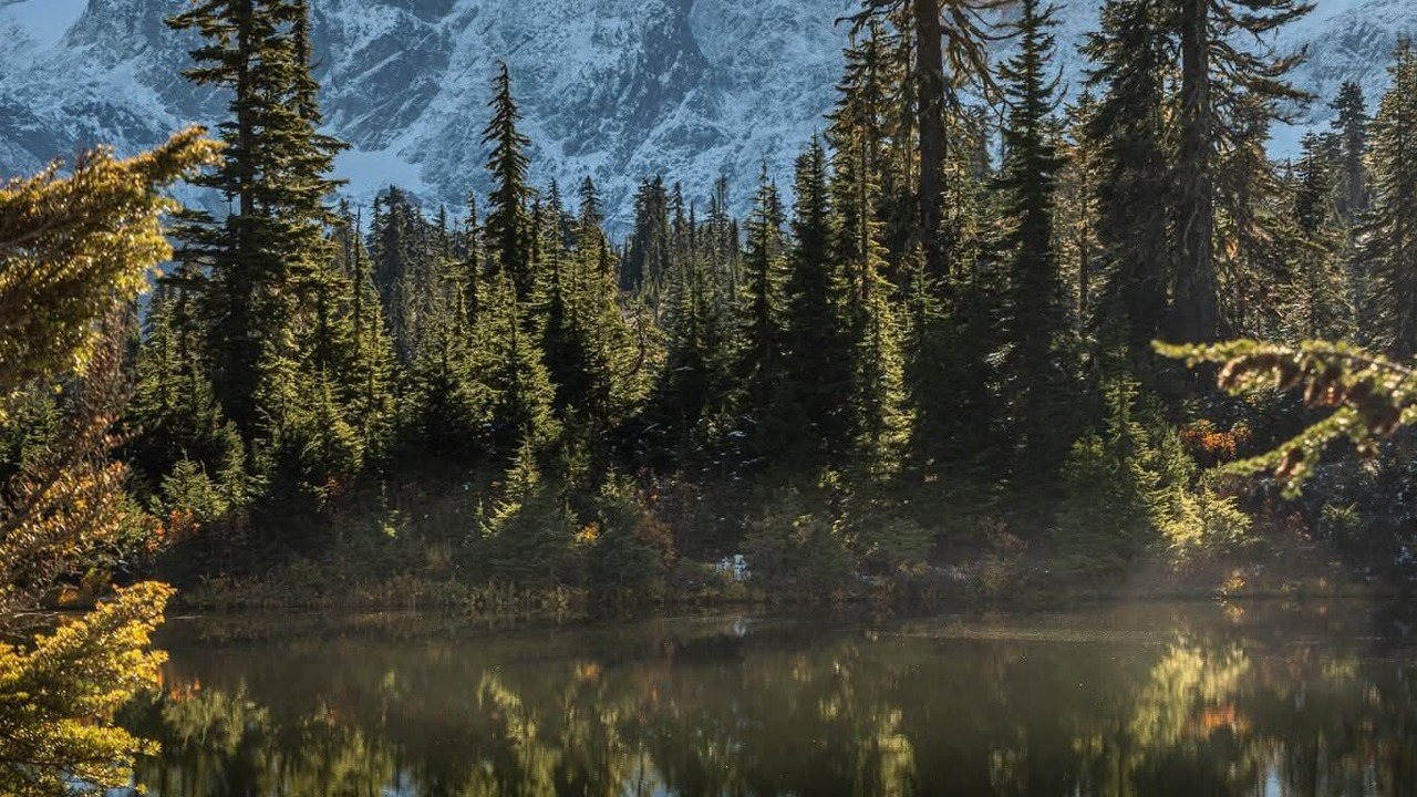 Photo of Others in Maple Falls