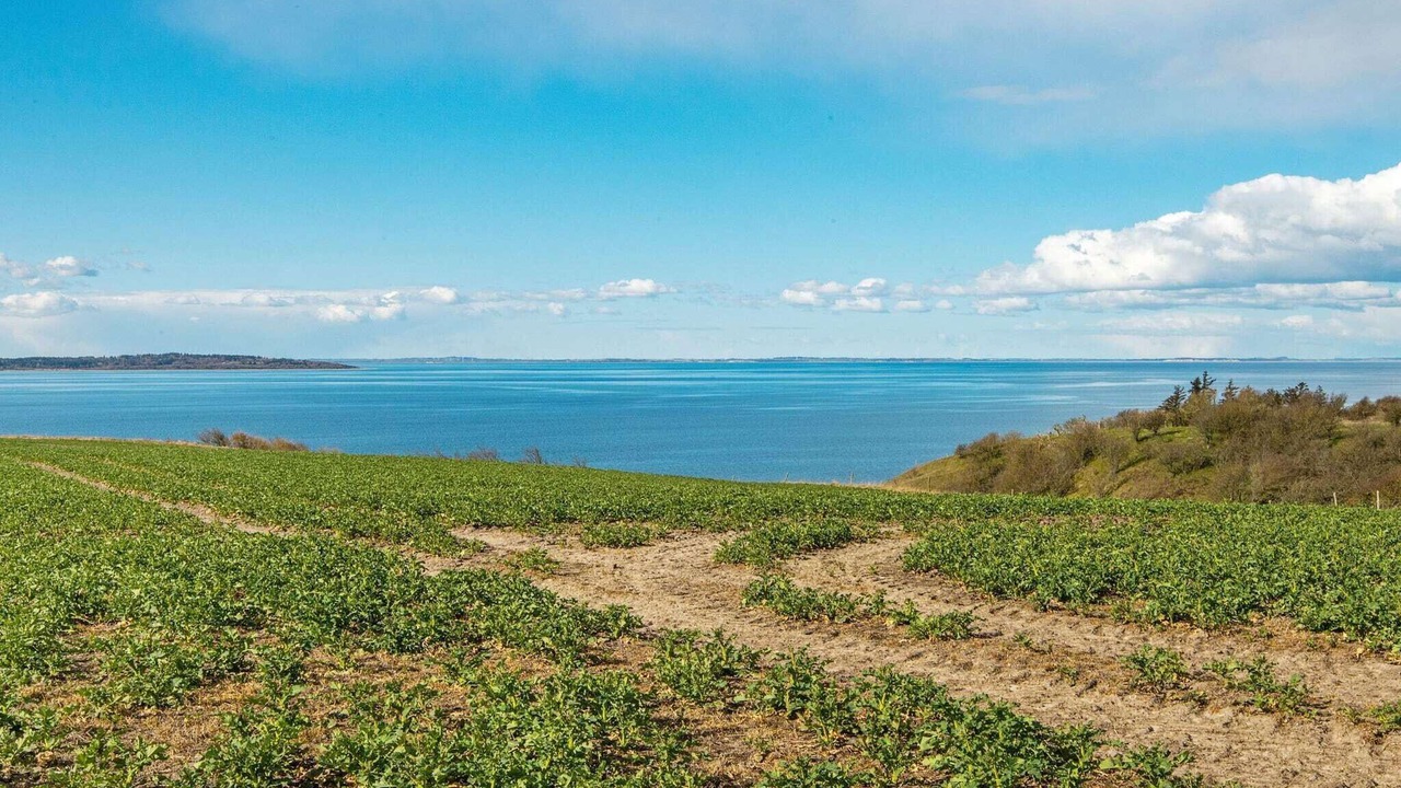 Photo of Outdoor in Ranum