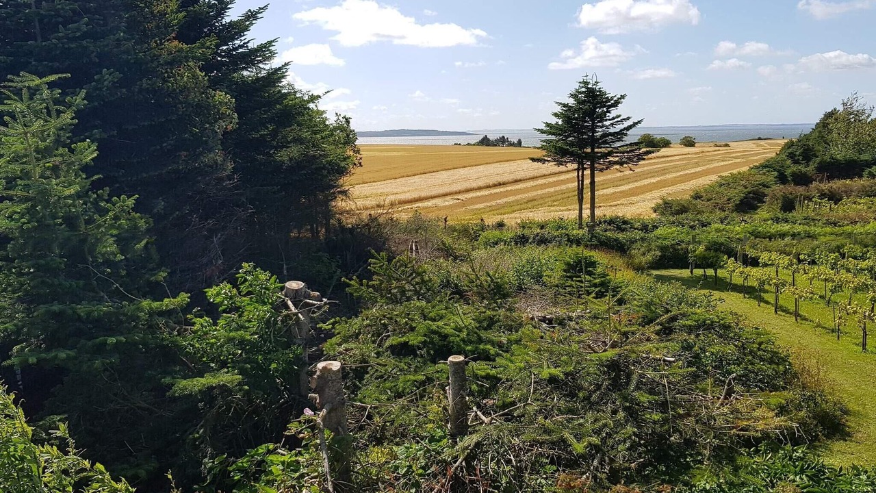 Photo of Outdoor in Ranum