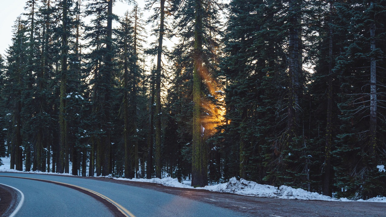 Photo of Others in Mount Shasta
