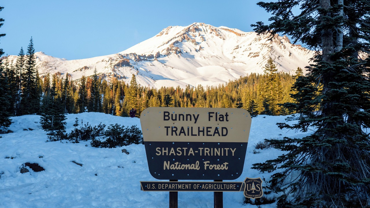 Photo of Outdoor in Mount Shasta