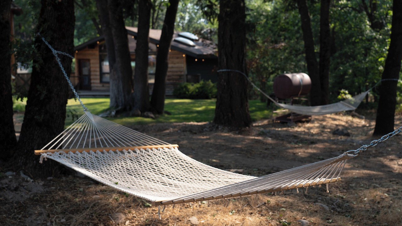 Photo of Outdoor in Mount Shasta