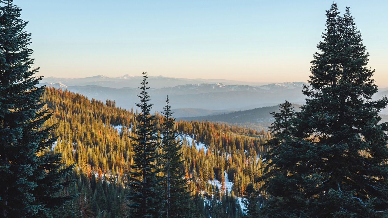 Photo of Others in Mount Shasta