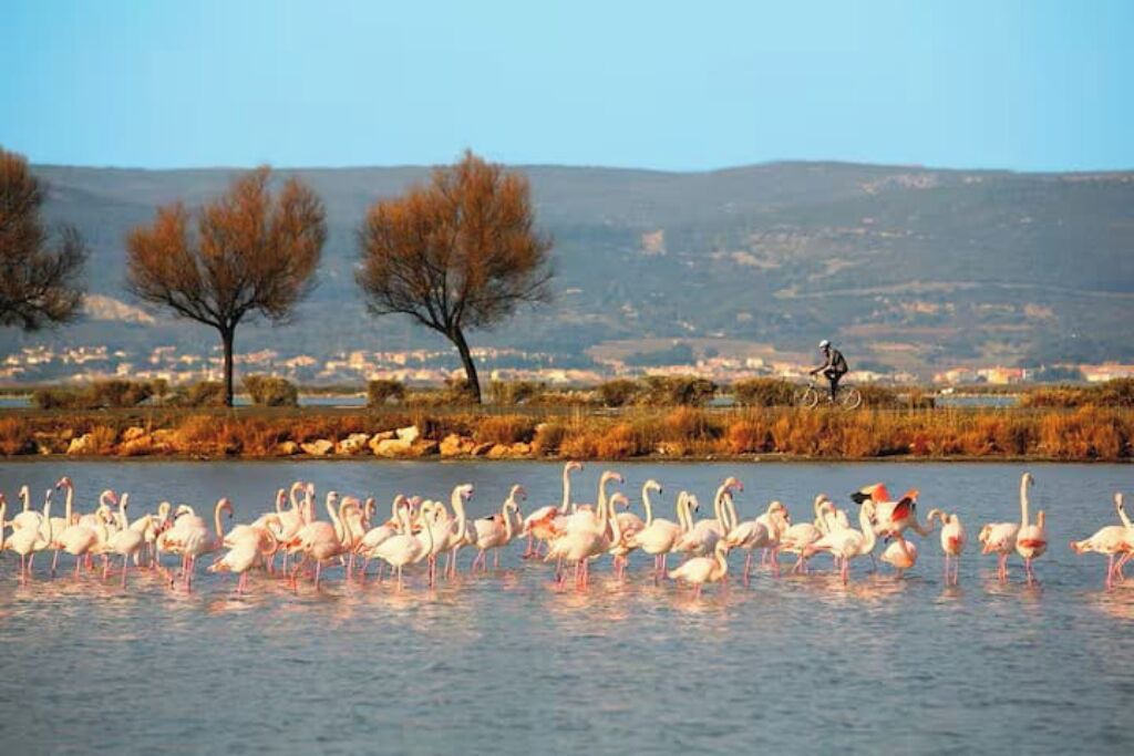 Photo of Others in Croix-d'Argent