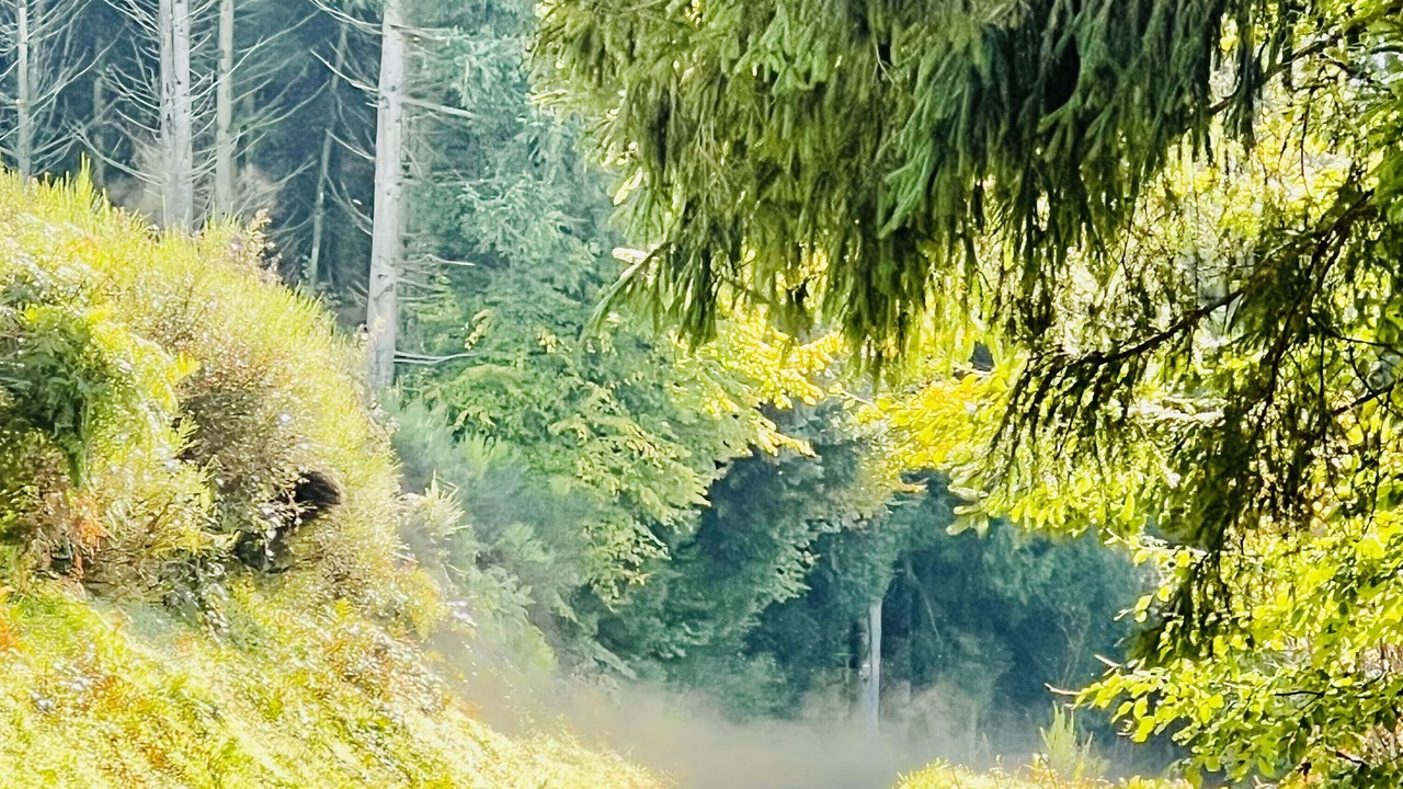 Photo of Others in Granges-Aumontzey