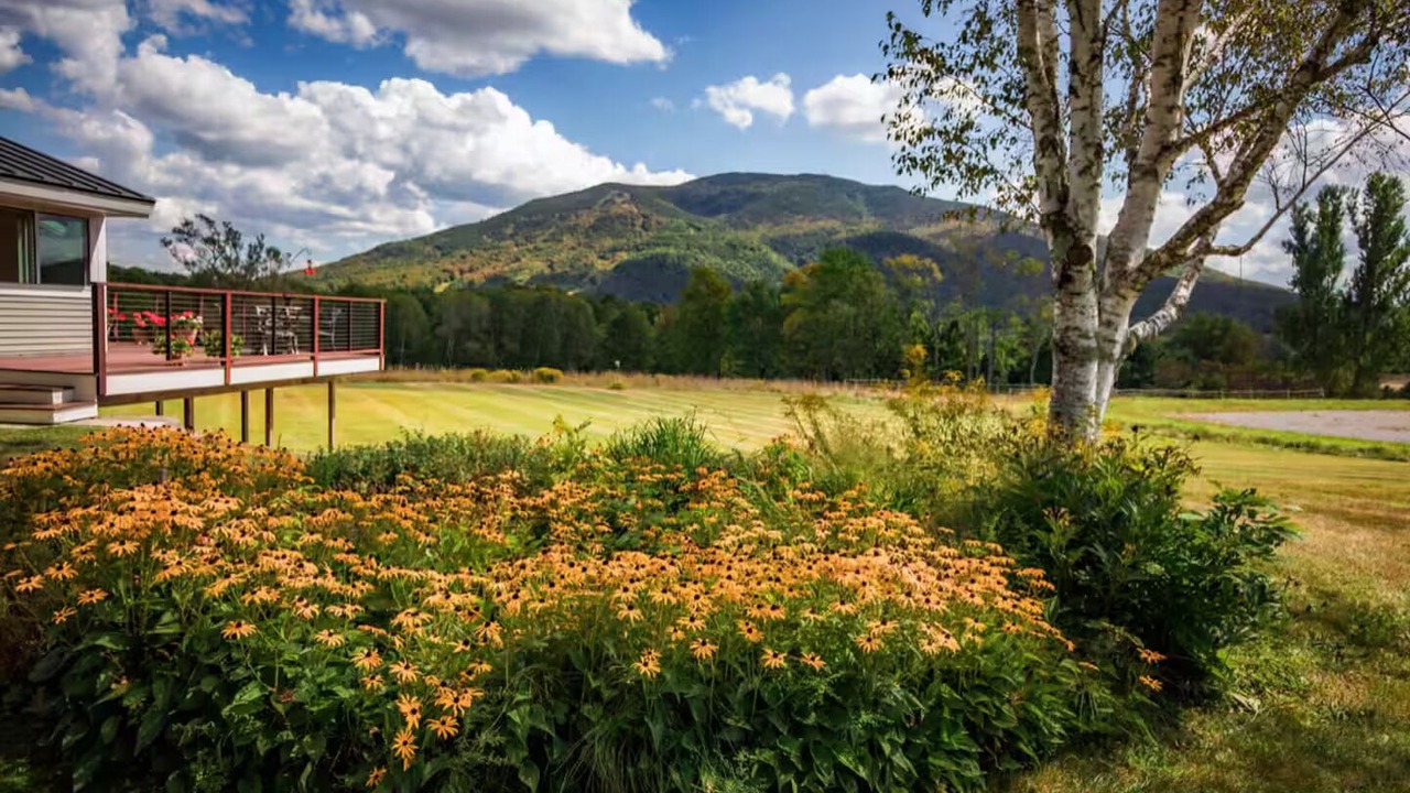 Photo of Outdoor in Brownsville