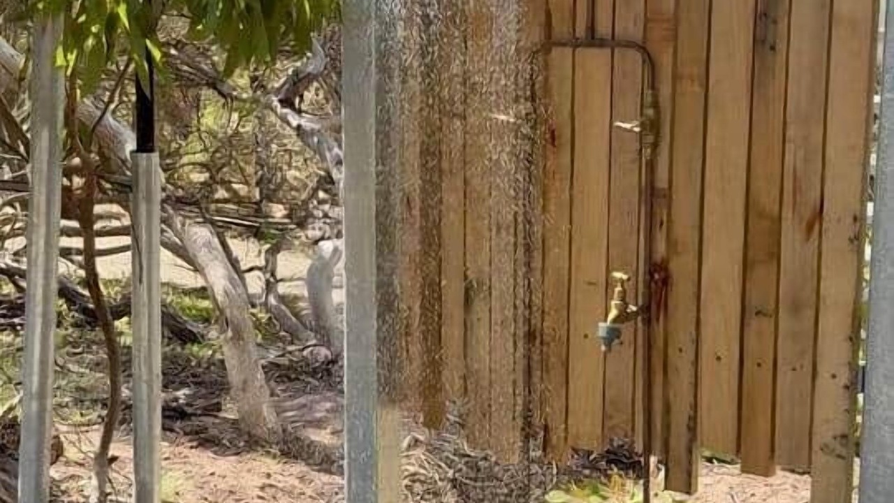 Photo of Others in Newland