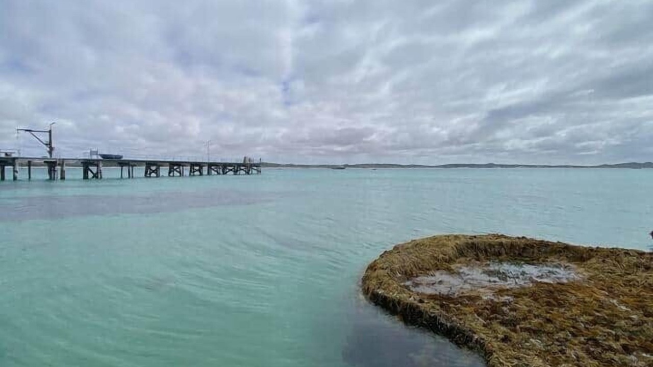 Photo of Others in Newland