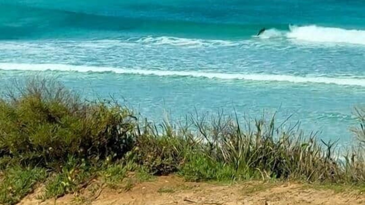 Photo of Others in Newland