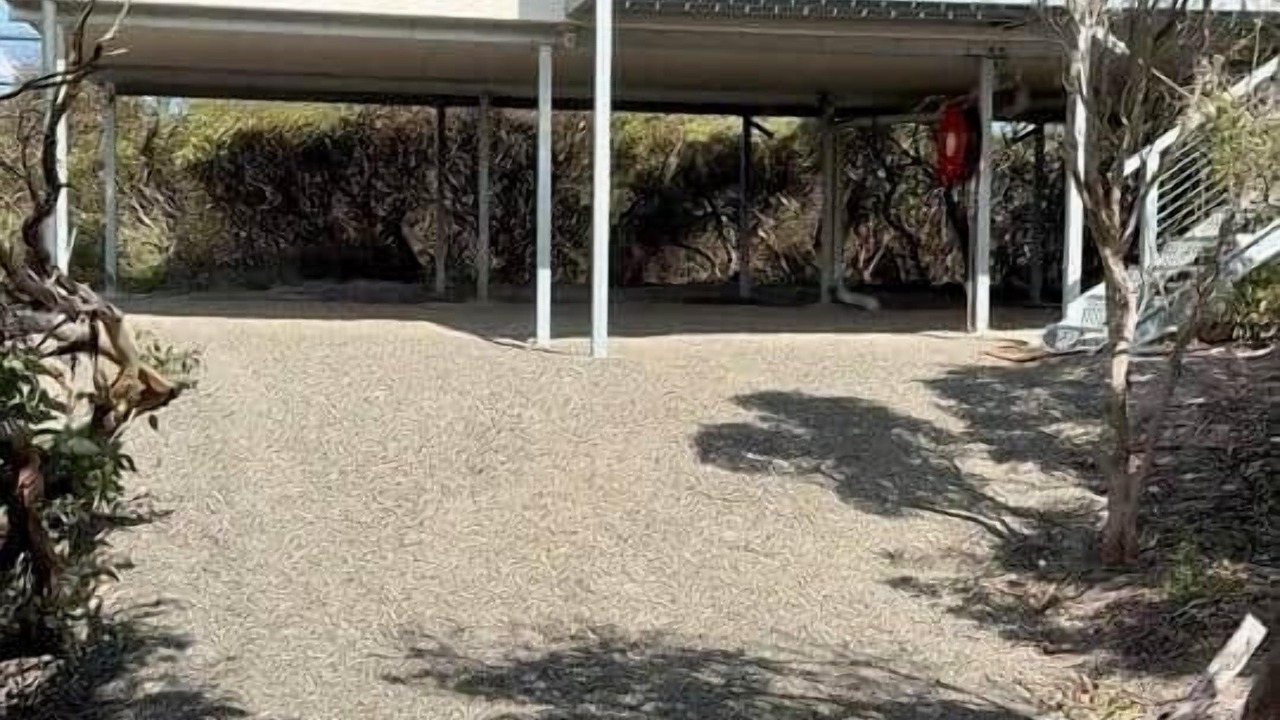 Photo of Others in Newland