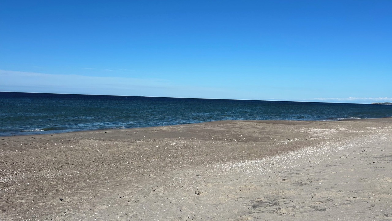 Photo of Others in Papamoa Beach