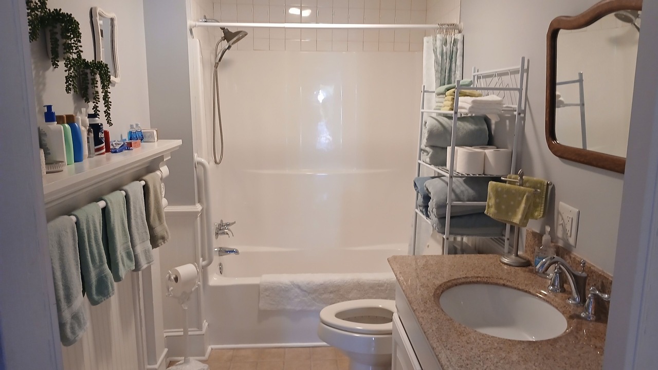 Photo of Bathroom in Pilot Mountain