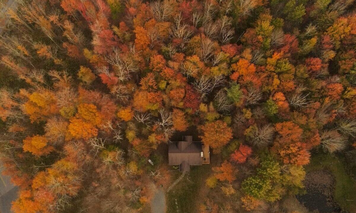 Photo of Outdoor in Jewett