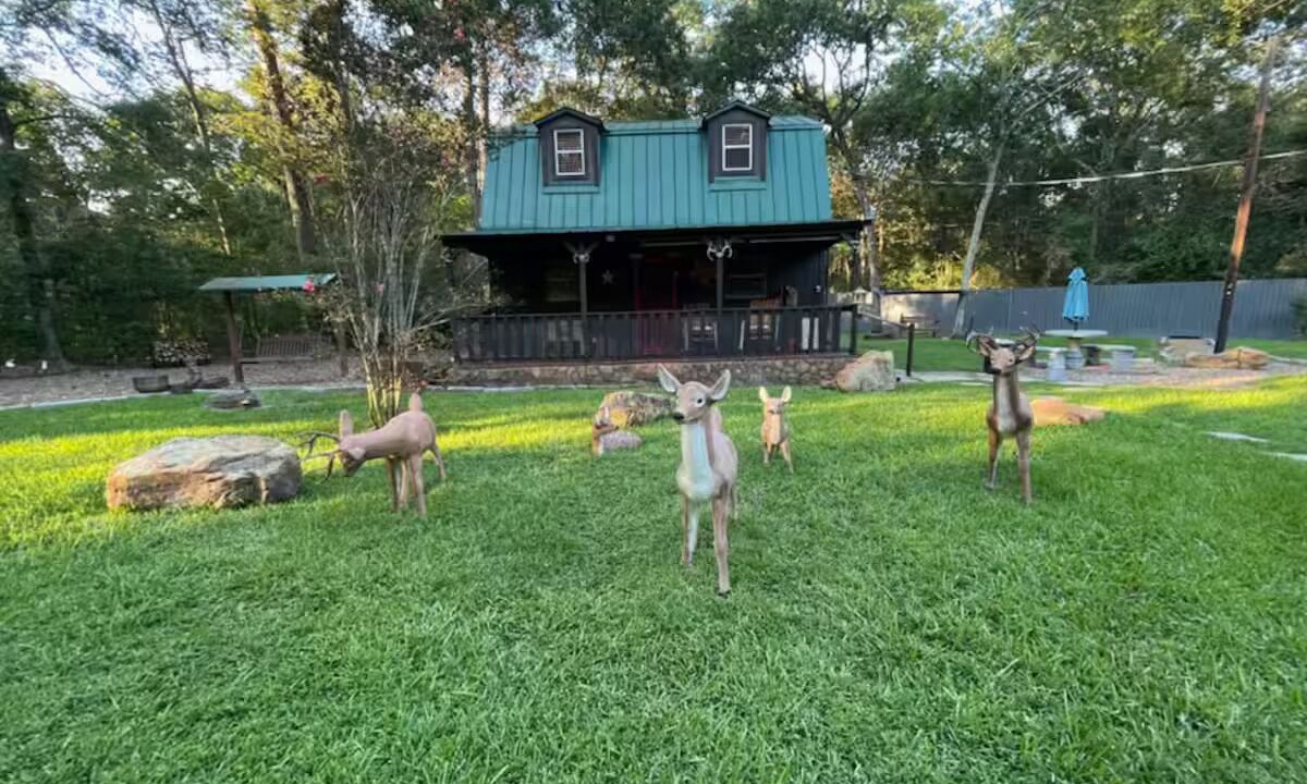 Photo of Outdoor in Humble