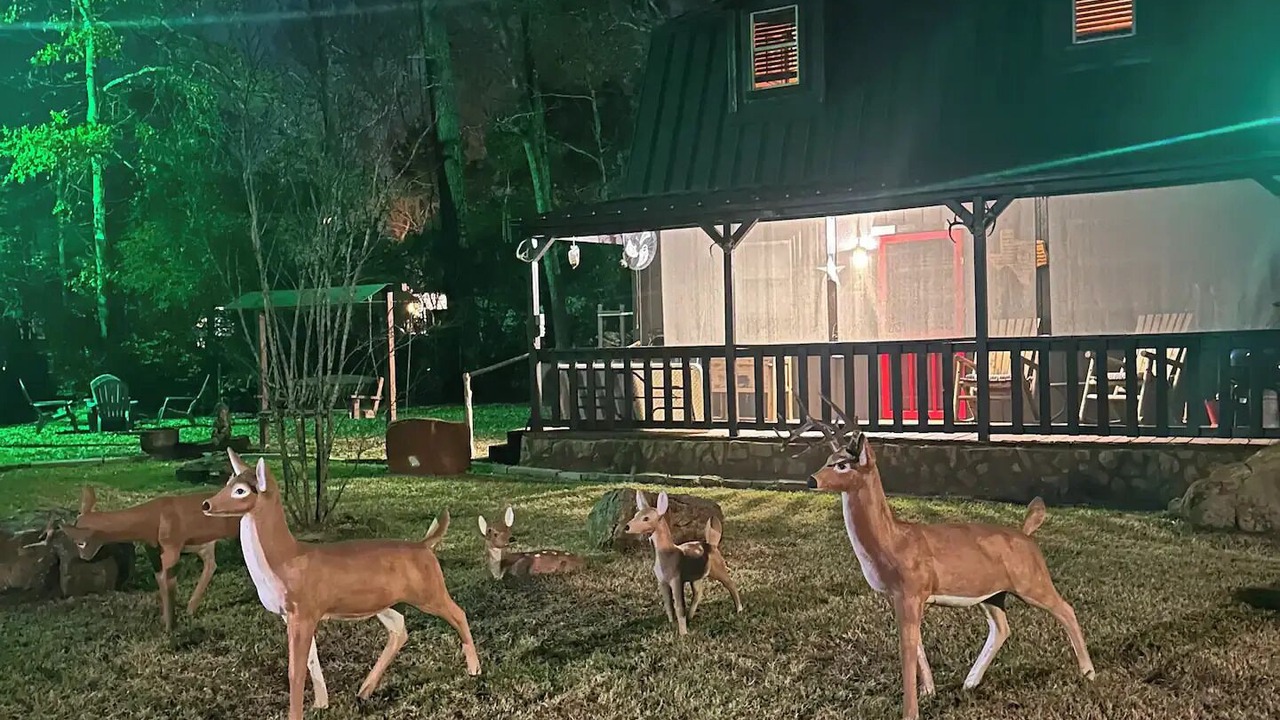 Photo of Outdoor in Humble