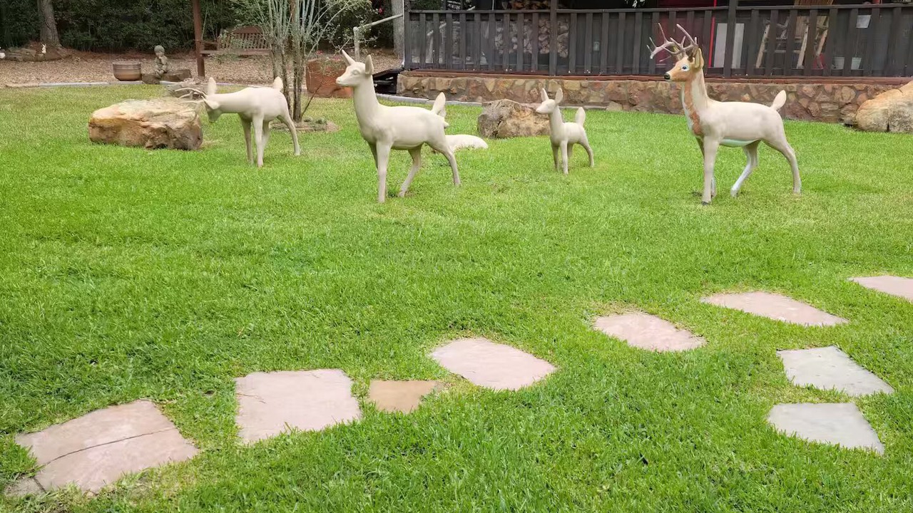 Photo of Outdoor in Humble