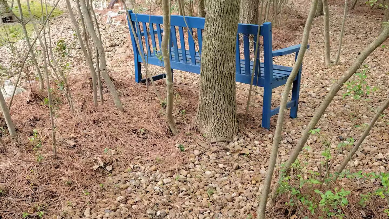 Photo of Outdoor in Humble