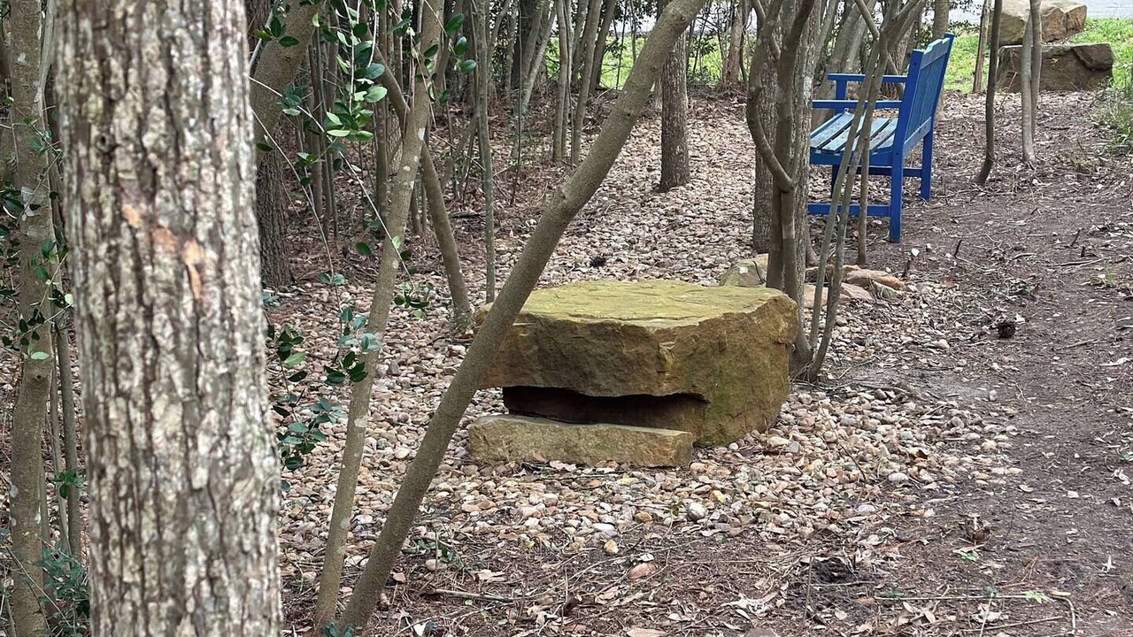 Photo of Outdoor in Humble