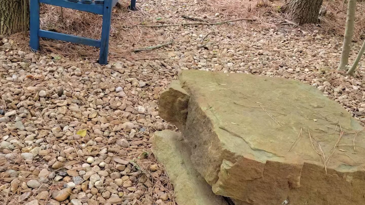 Photo of Outdoor in Humble