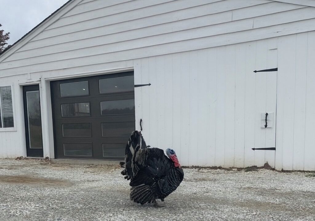 Photo of Outdoor in Winfield