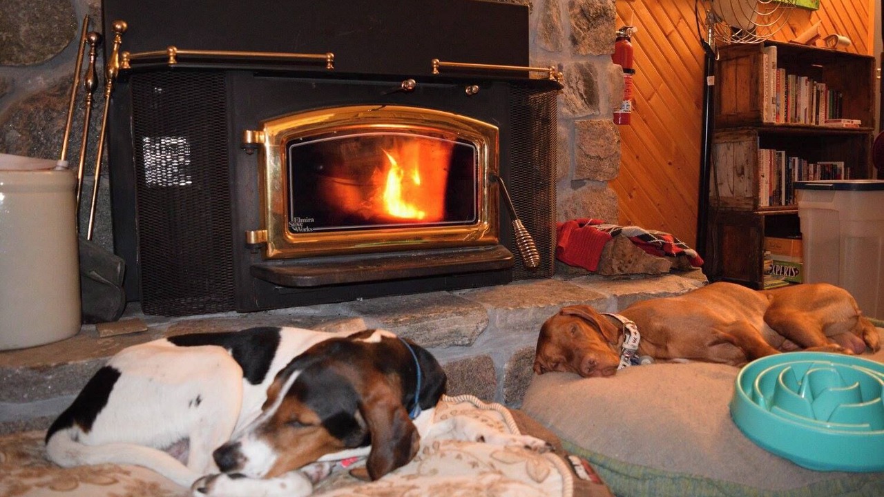 Photo of Others in Gravenhurst