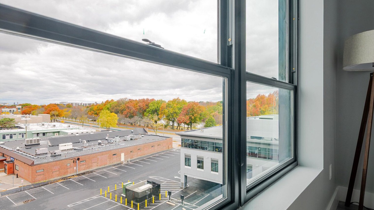 Photo of Others in Lower Allston