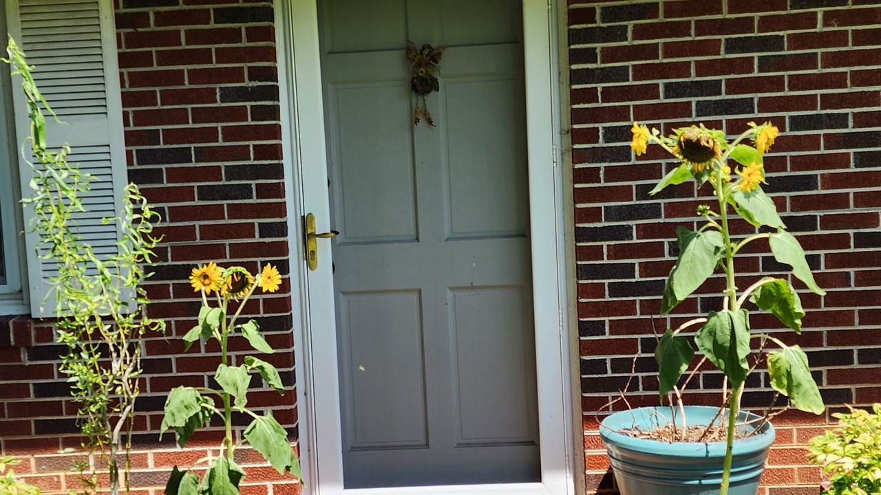 Photo of Outdoor in Peters Creek