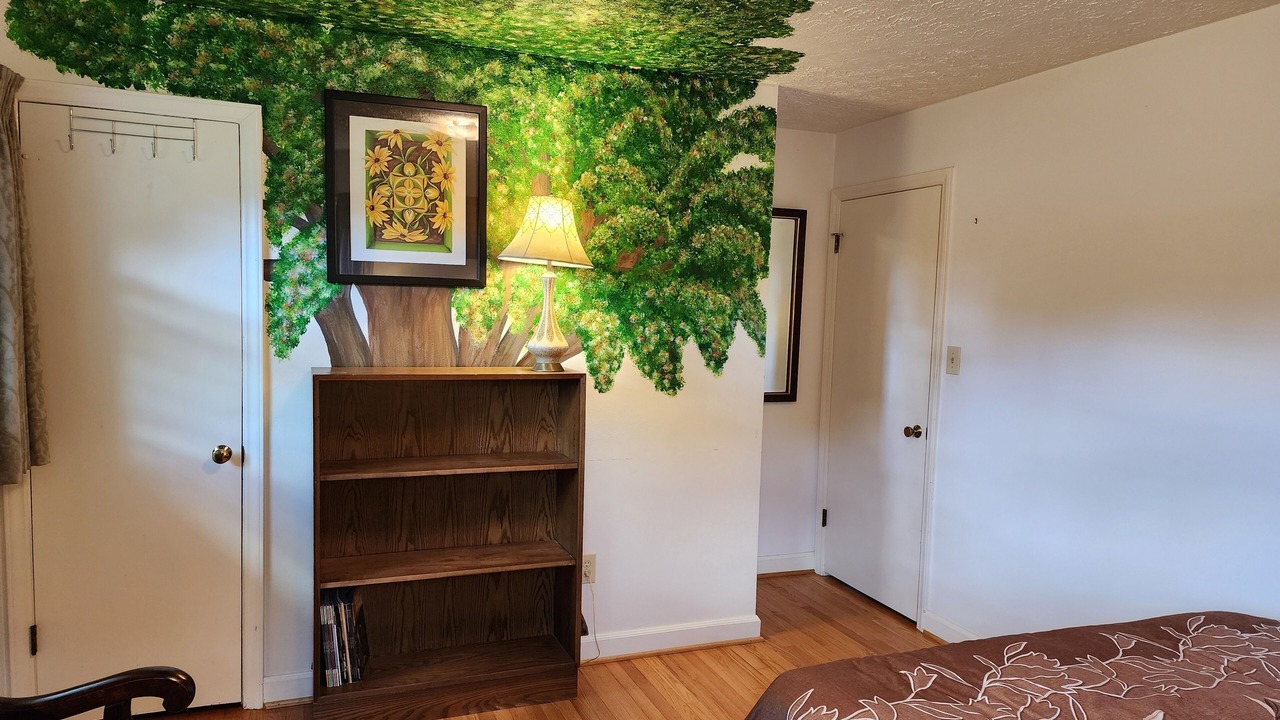 Photo of Bedroom in Peters Creek