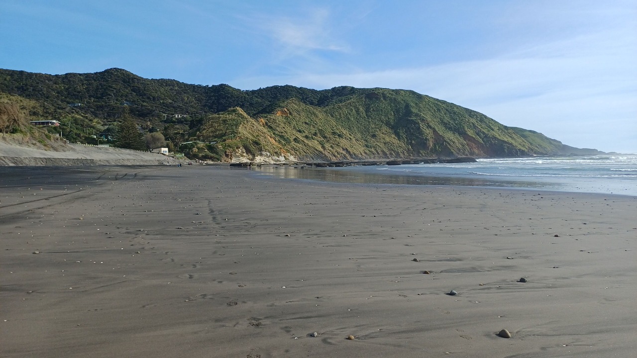 Photo of Others in Port Waikato