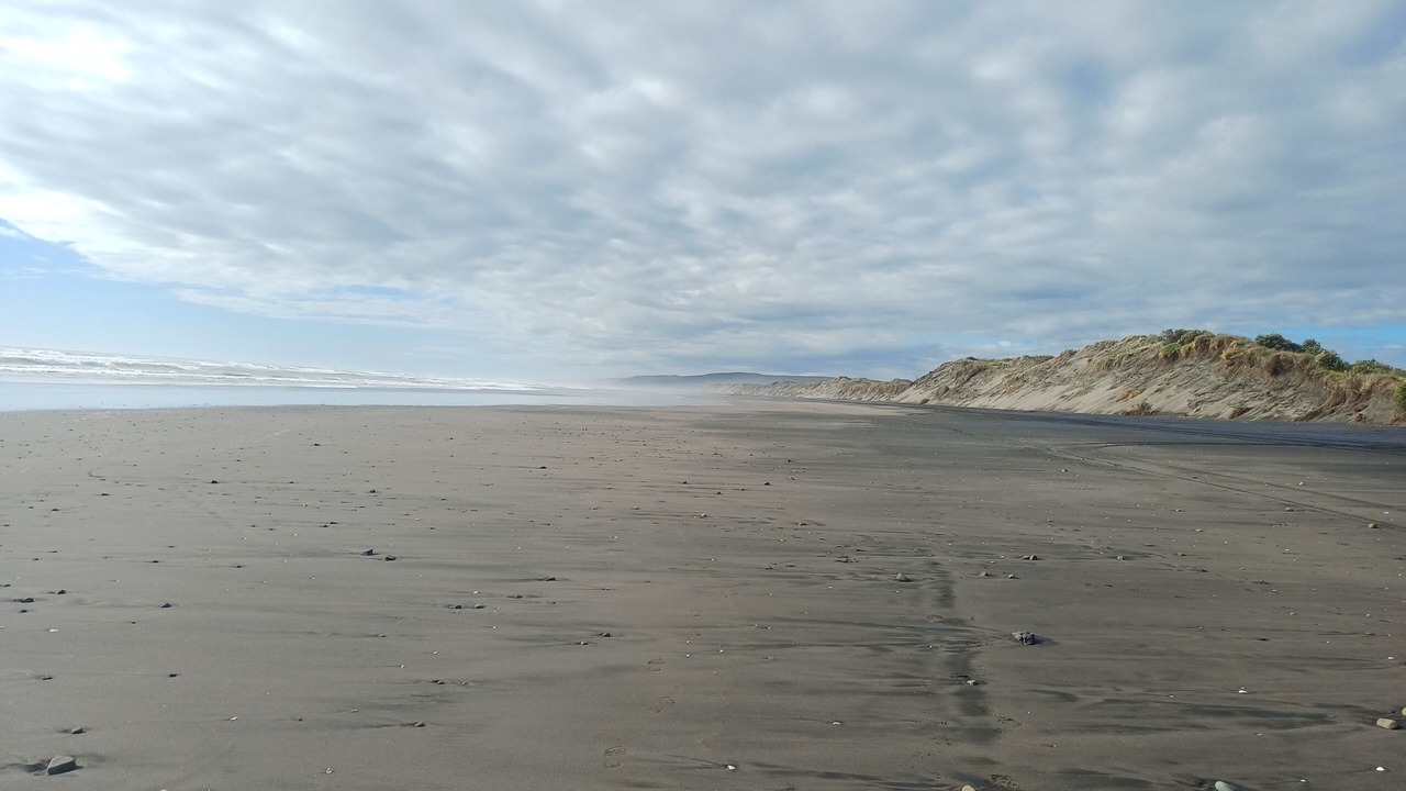 Photo of Others in Port Waikato