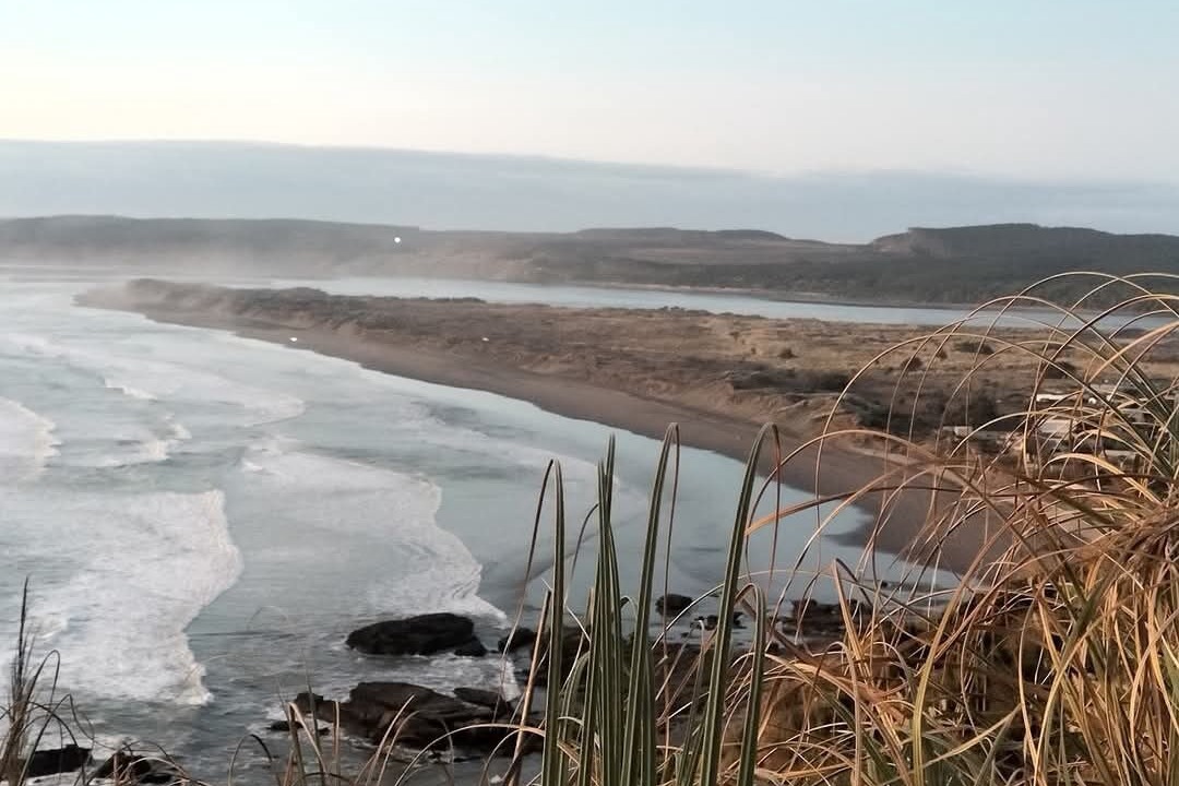 Photo of Others in Port Waikato